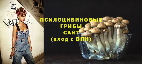 герыч Бородино