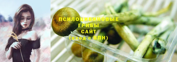 прущая мука Бронницы