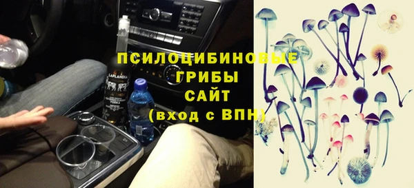 соль ск Богородицк